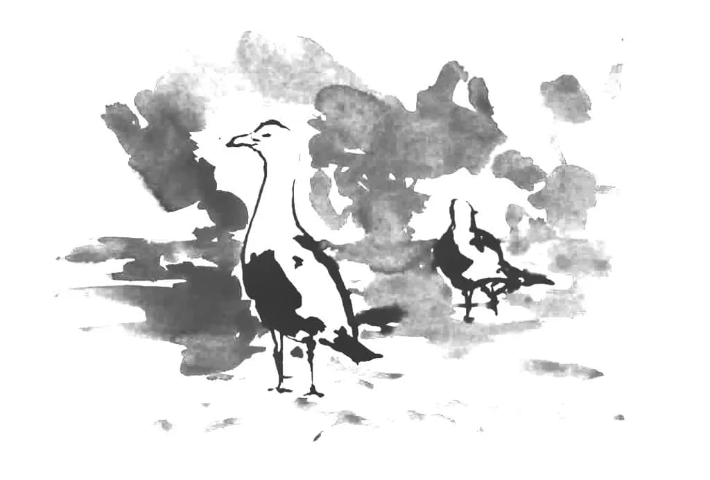 Seagulls in Ink