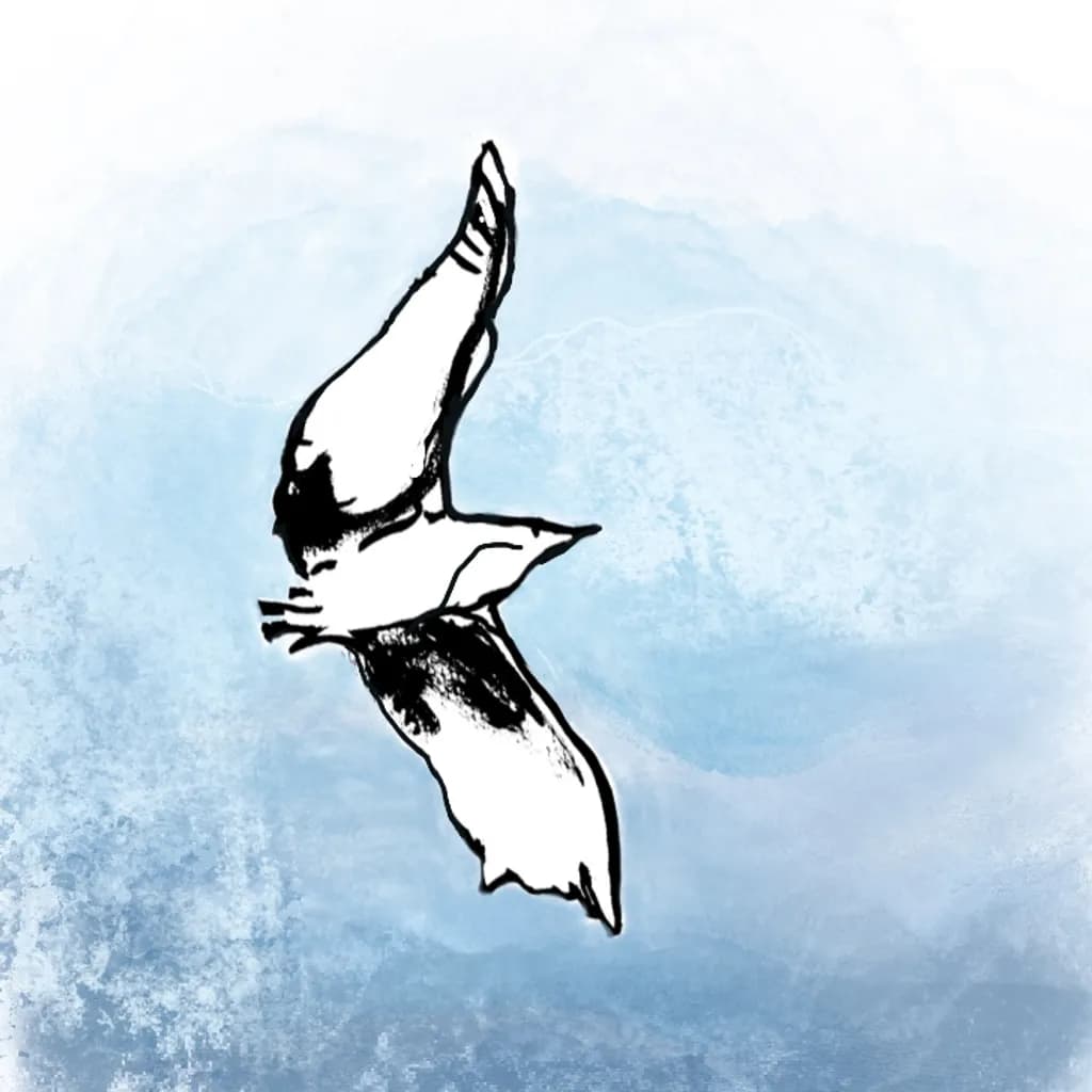 Soaring Bird