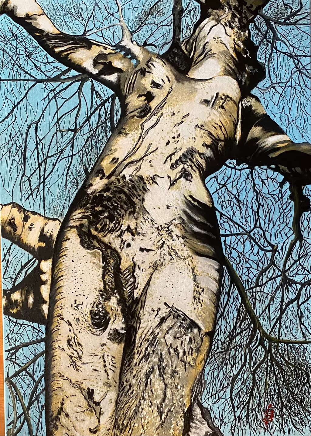 Birch Tree Perspective