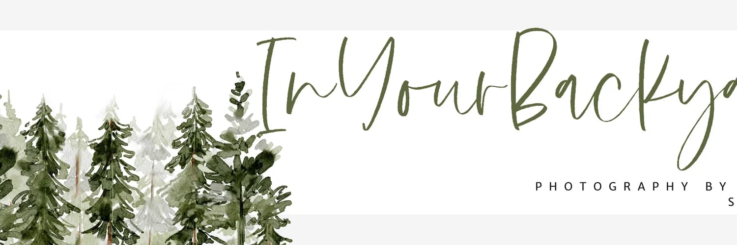 Profilbanner