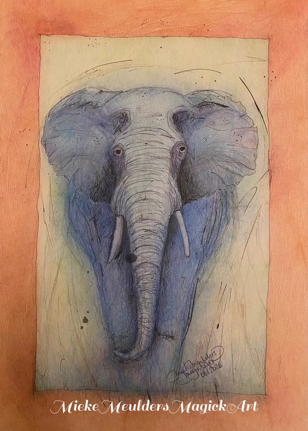 Elephant Gaze