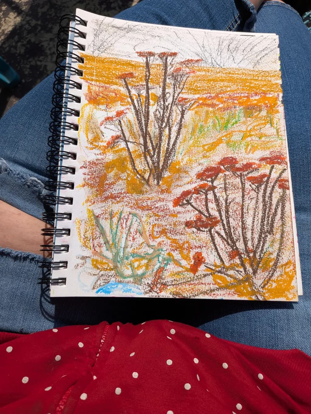 Autumn Meadow Blooms