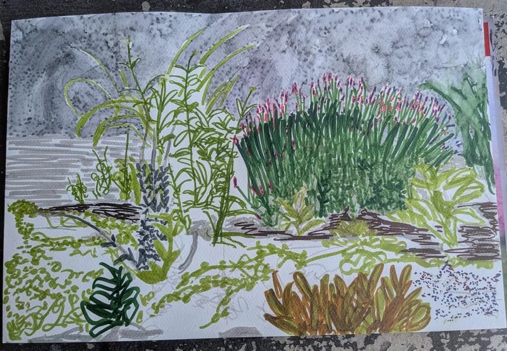 Garden Study