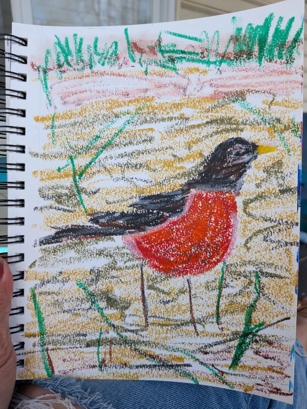 Red Robin in the Garden
