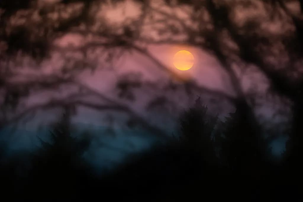 Blood Moon Twilight
