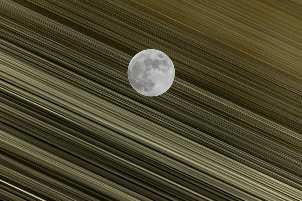 Lunar Rings