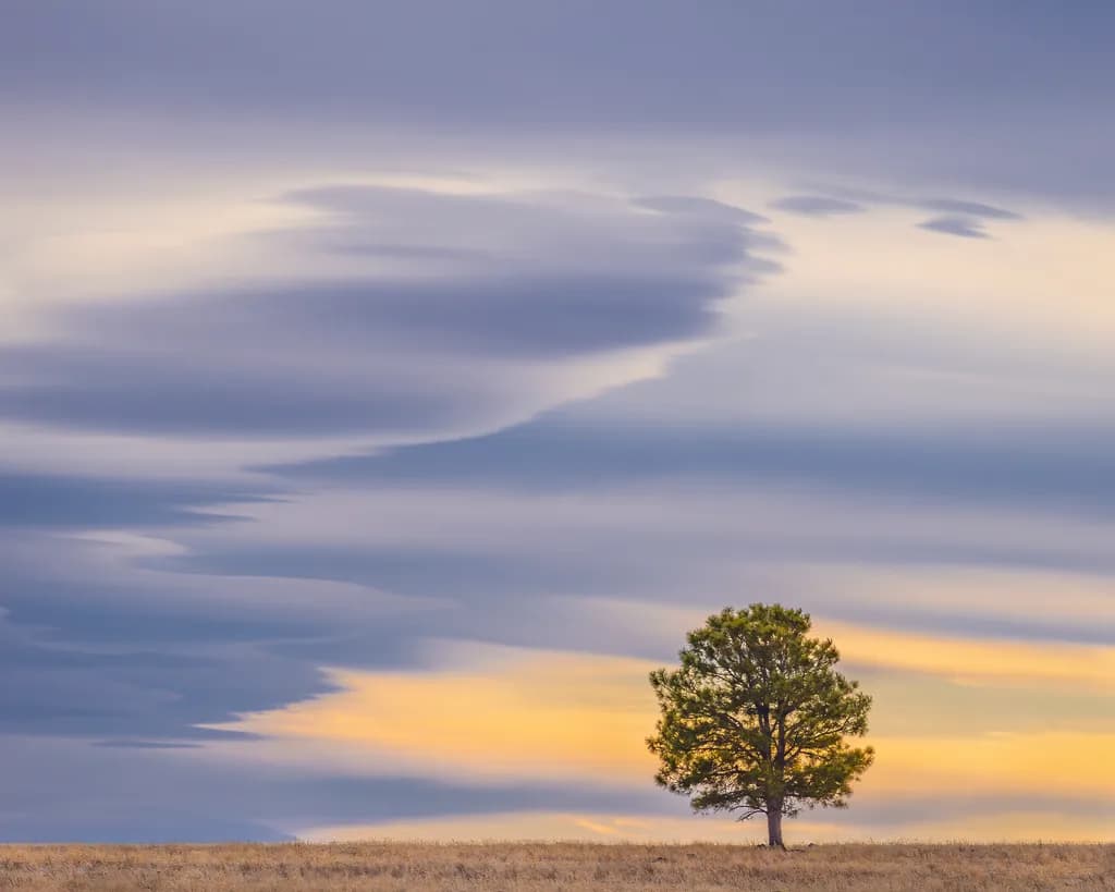 Solitary Horizon