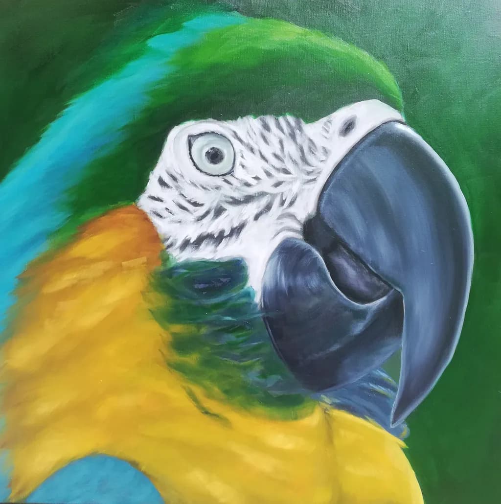 Tropical Gaze