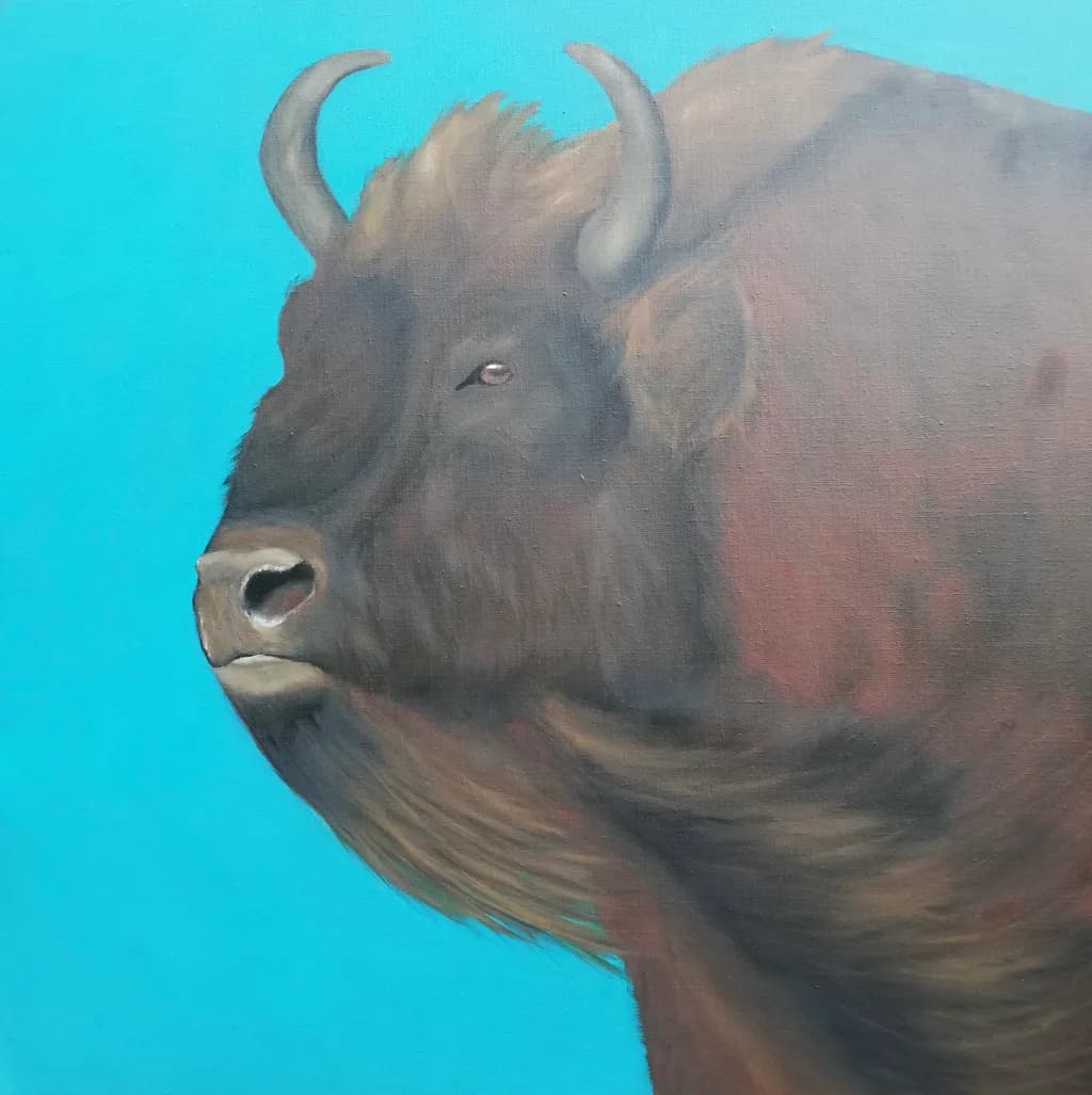 Steadfast Bison