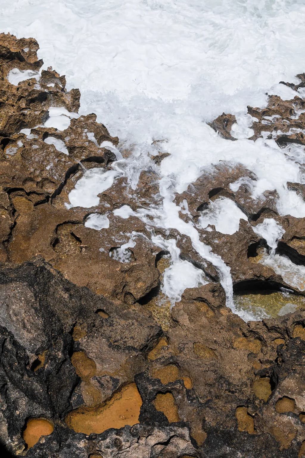 Rocky Shoreline