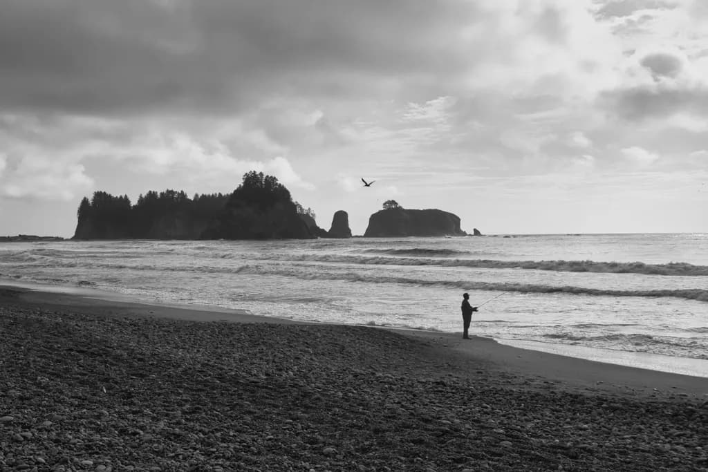 Solitary Fisherman