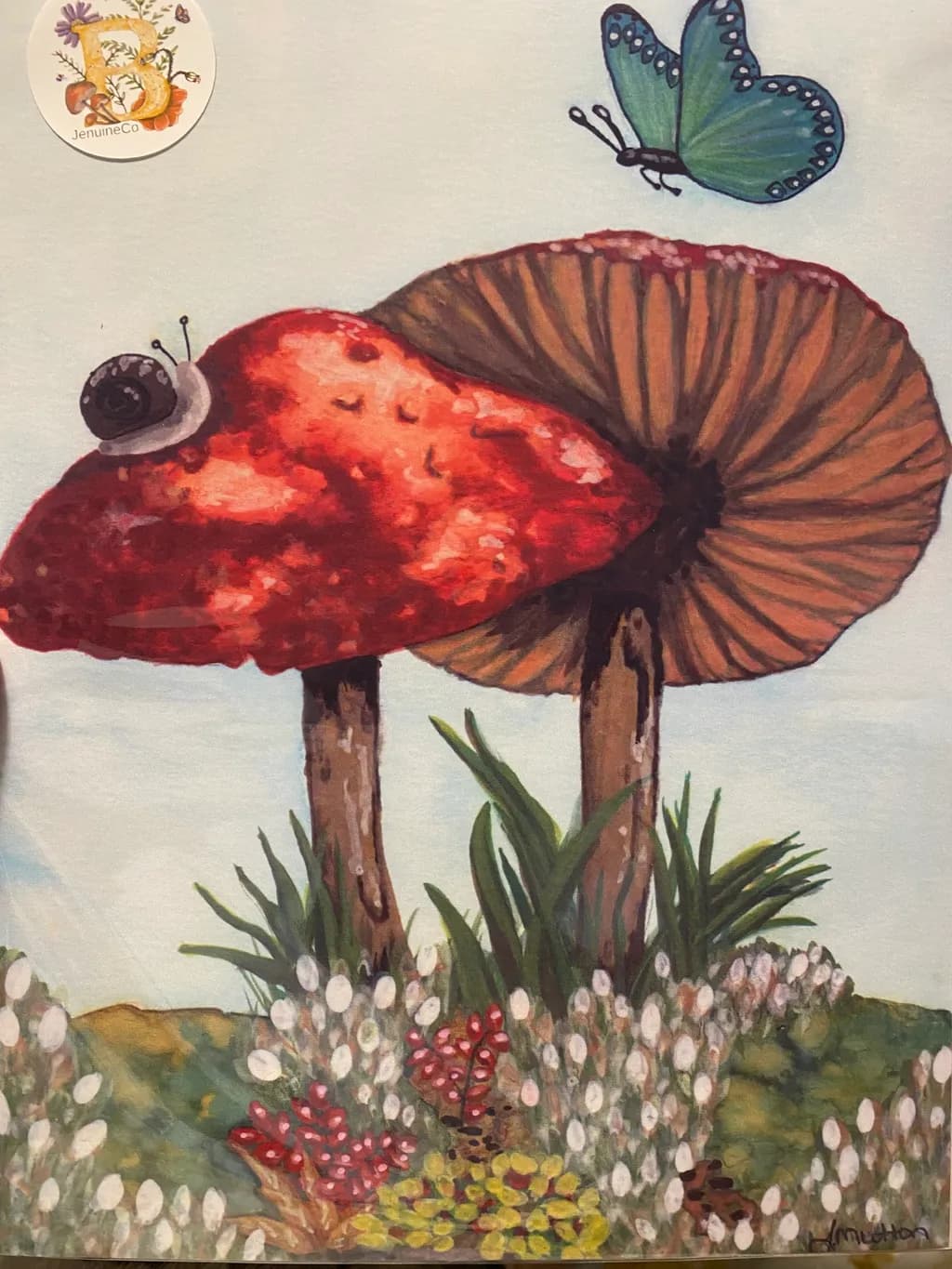 Mushroom Haven