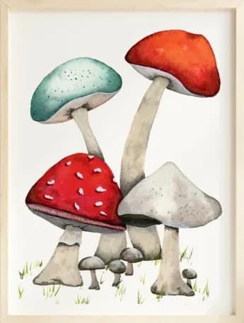 Colorful Mushrooms