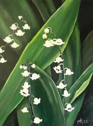 Lily of the Valley