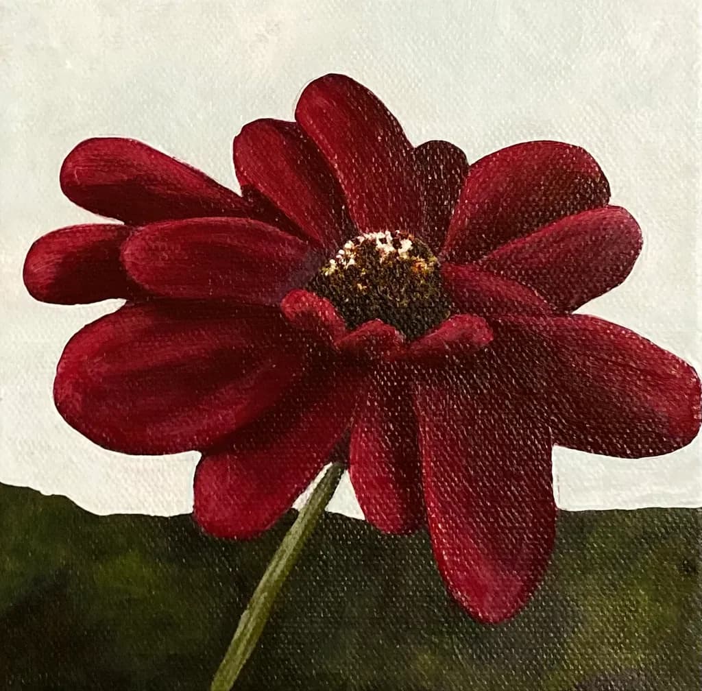 Crimson Blossom