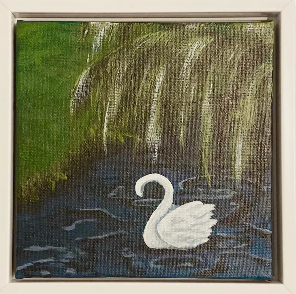 Tranquil Swan