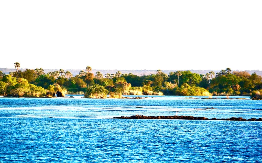 Serenity in Blue: A Tranquil Landscape of Water and Vegetation