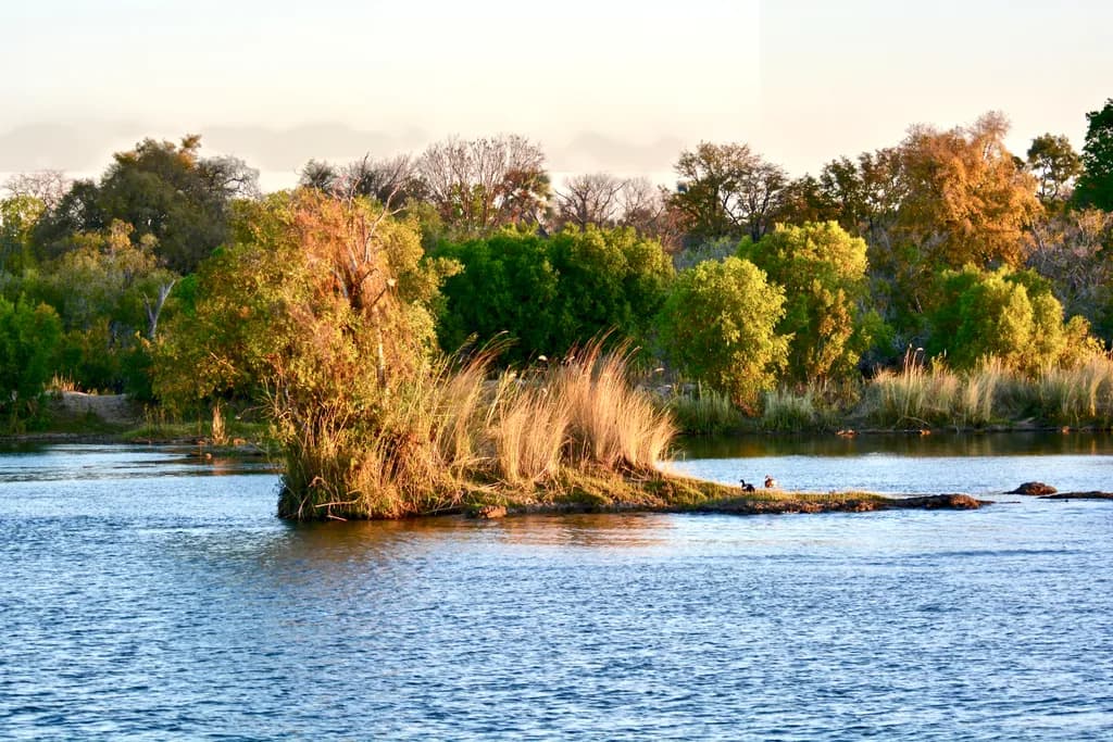 Serenity at Dusk: A Tranquil River Landscape with Lush Greenery and Gentle Waters