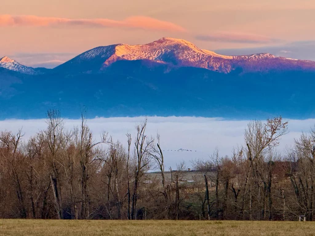 Morning Mist Mountains