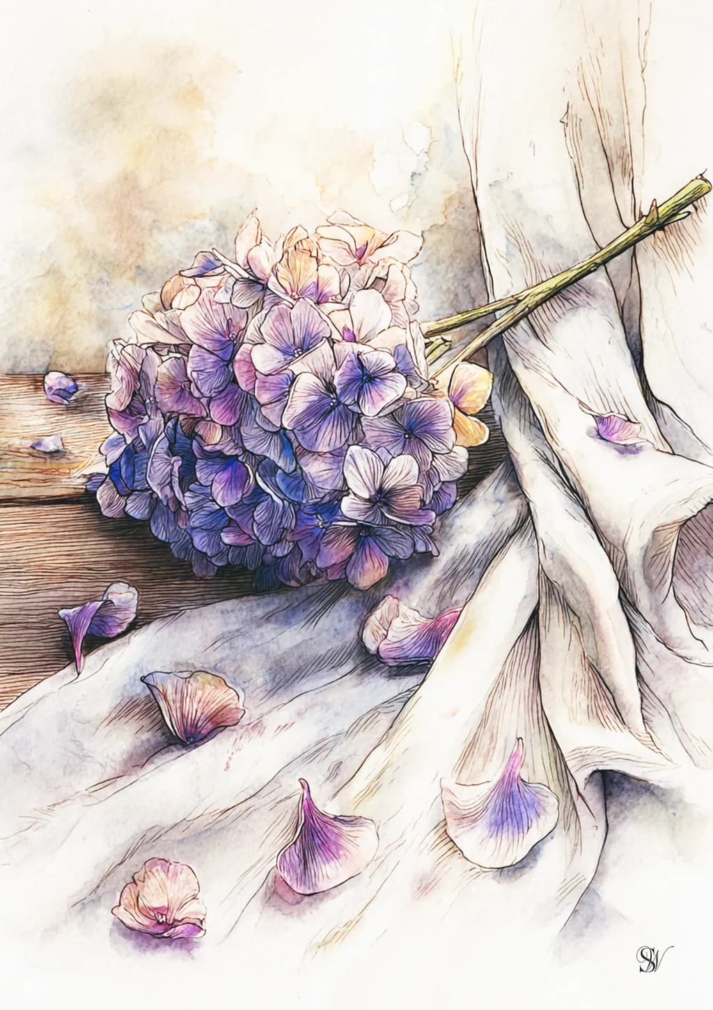Hydrangea Drift