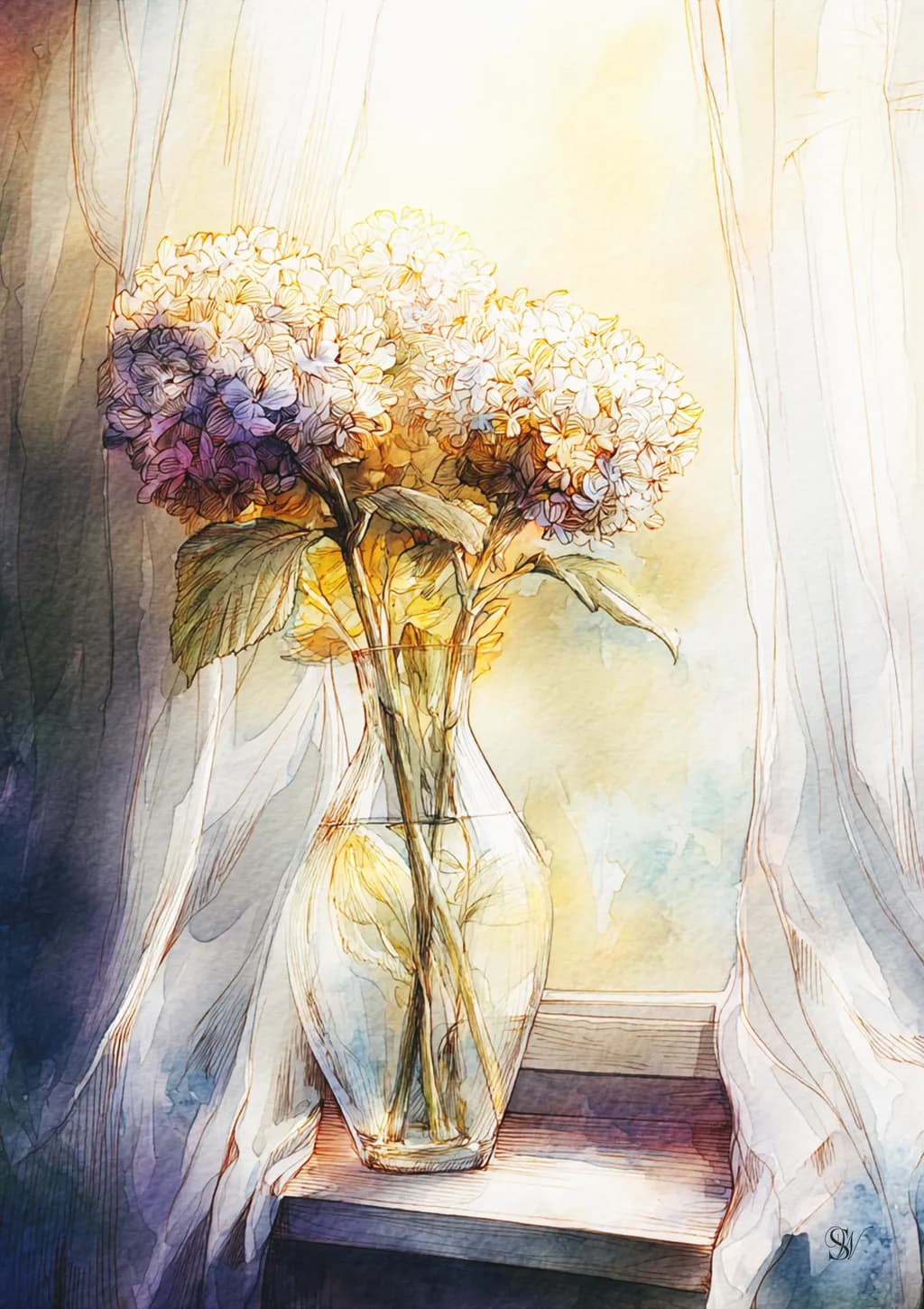 Sunlit Hydrangeas