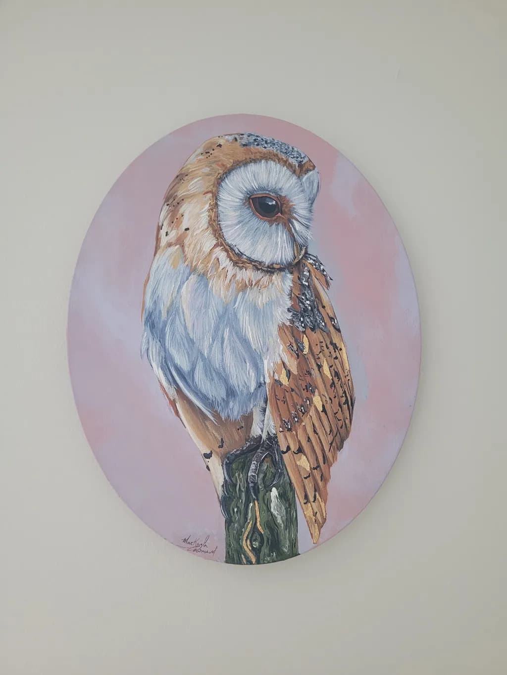 Barn Owl Perch