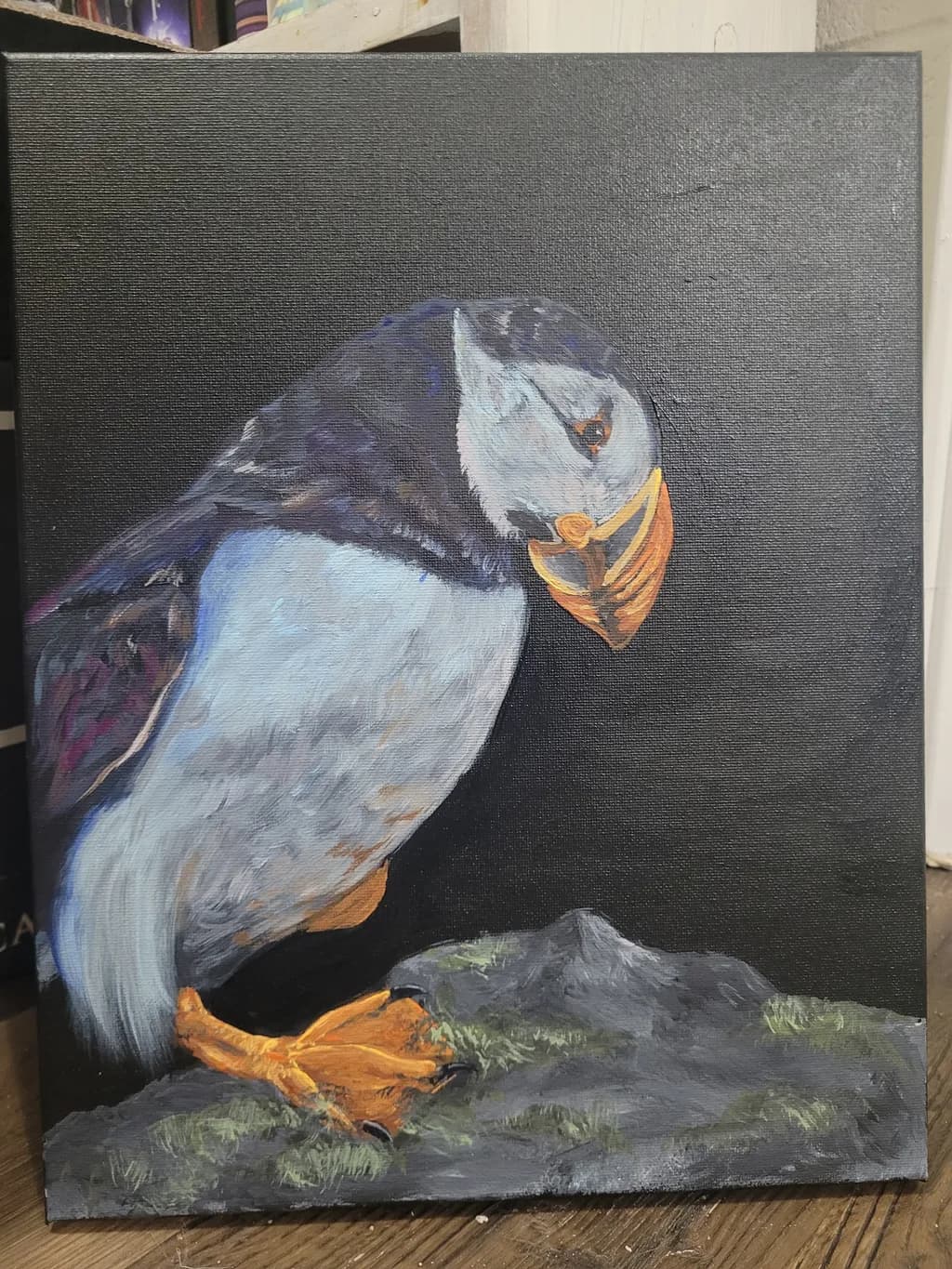 Puffin on Rock
