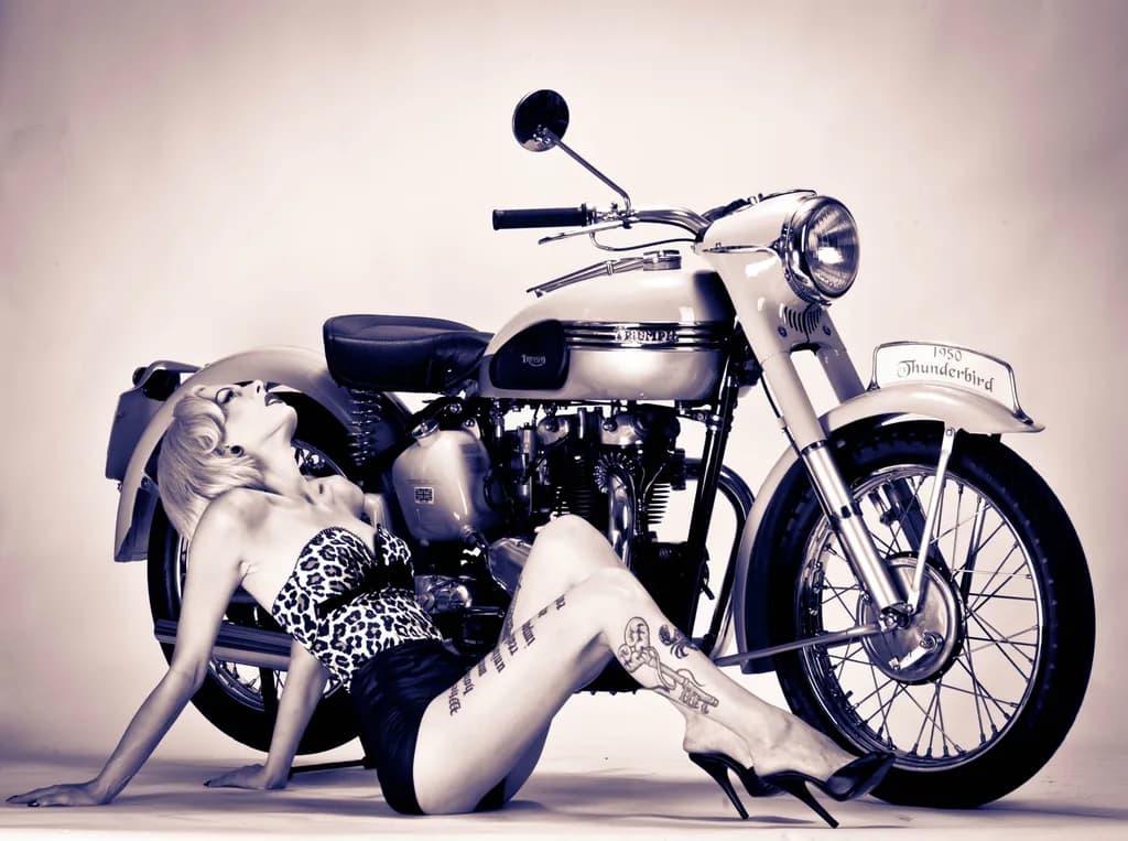 Thunderbird Elegance