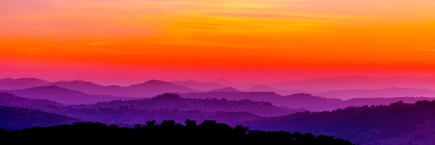 Profilbanner