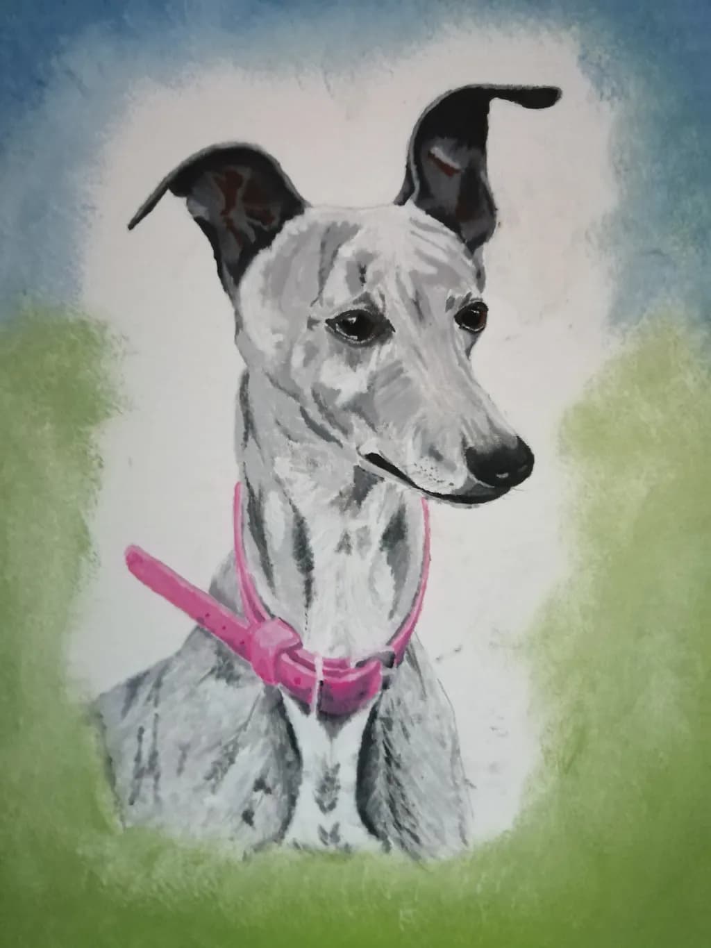 Greyhound with Pink Collar