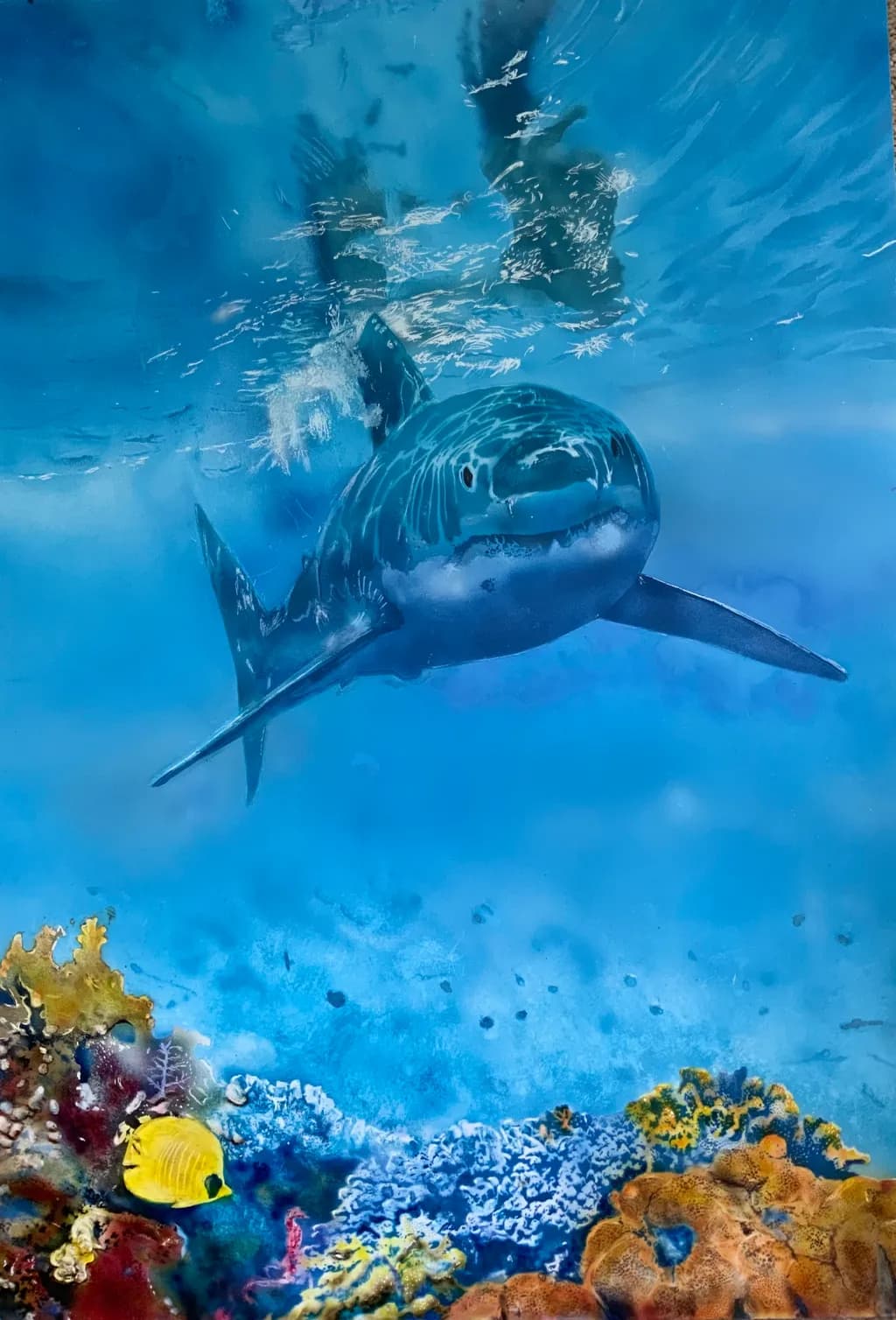 Ocean Sentinel