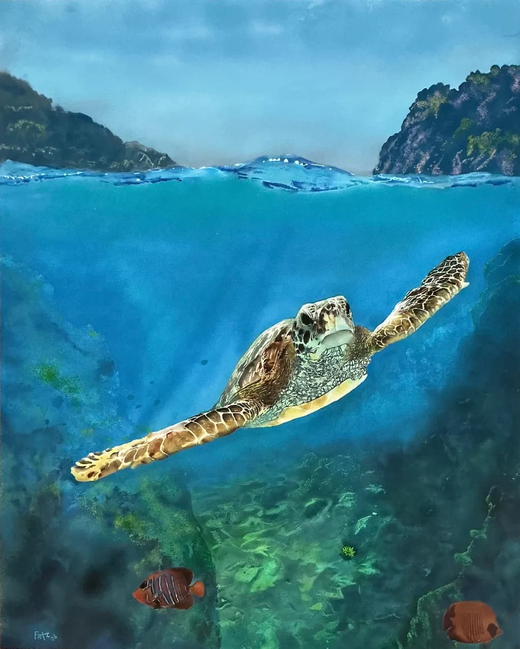 Ocean Glide