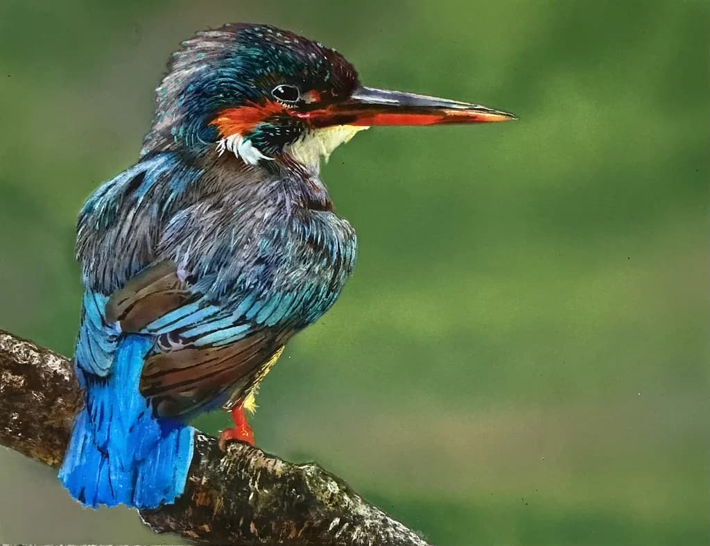 Blue Sentinel