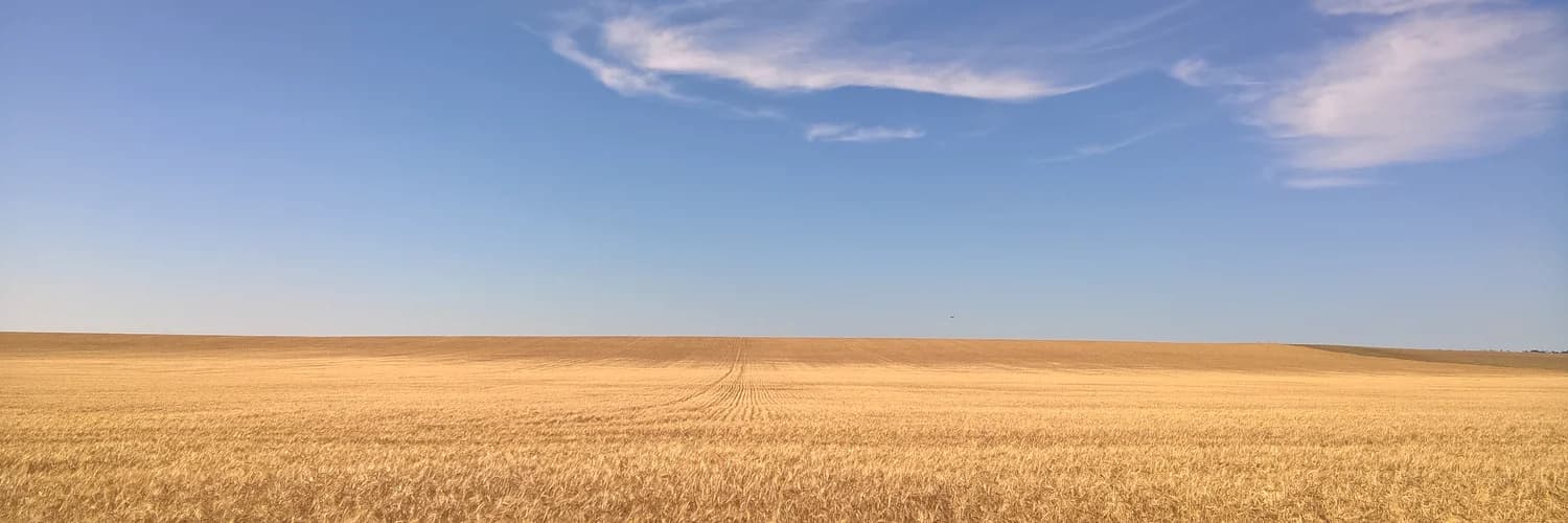 Profilbanner