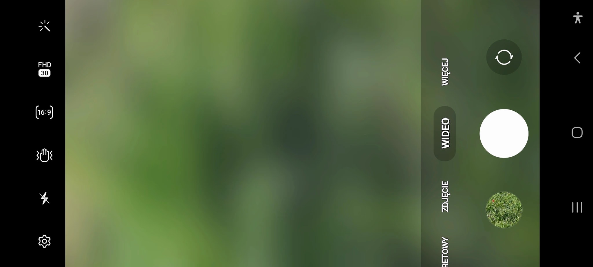 Soft Green Blur