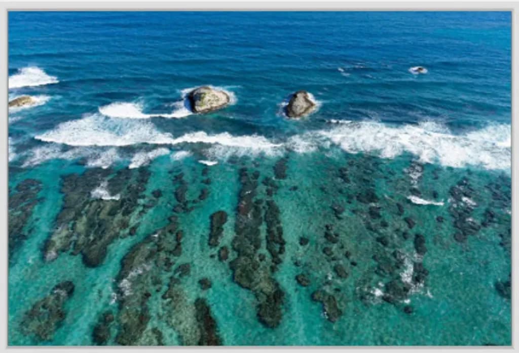 Ocean’s Secret Puzzle