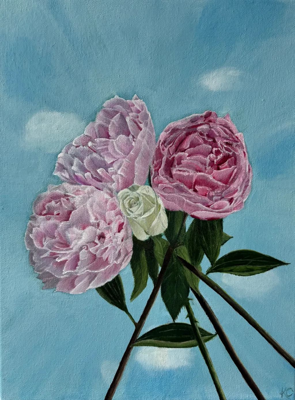 Peonies