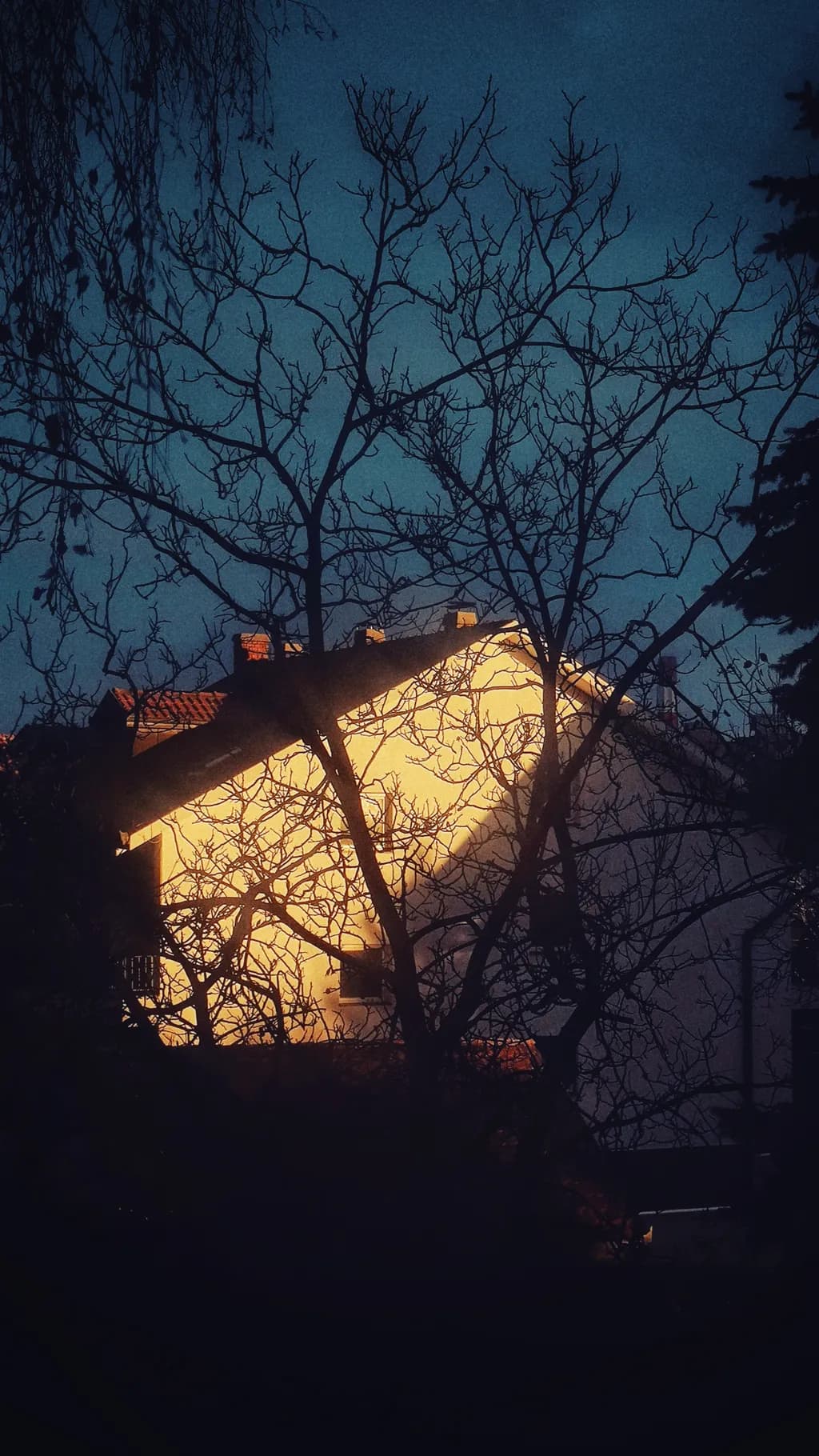 Twilight Glow