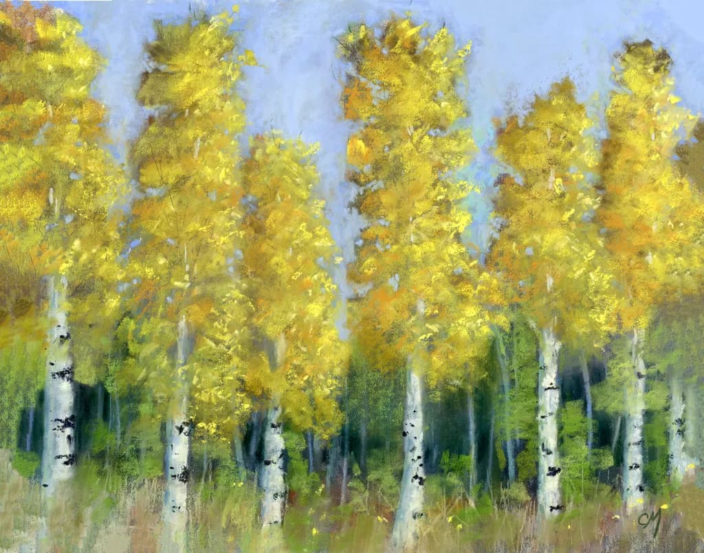 Aspen Light