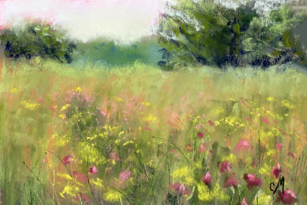 Wildflower Meadow