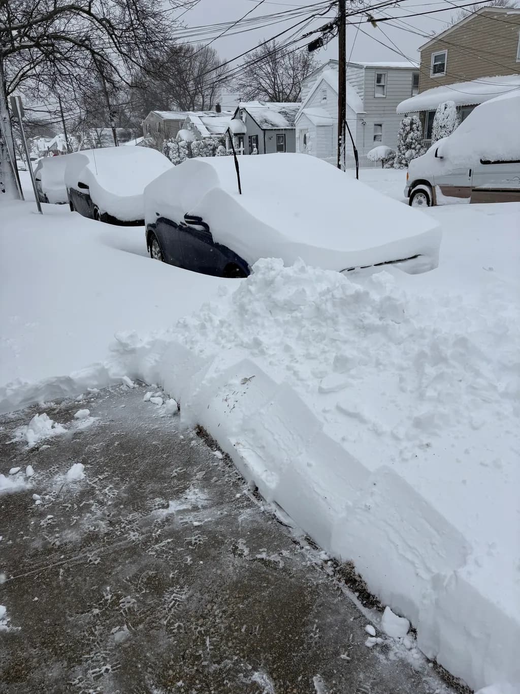 Buried in White