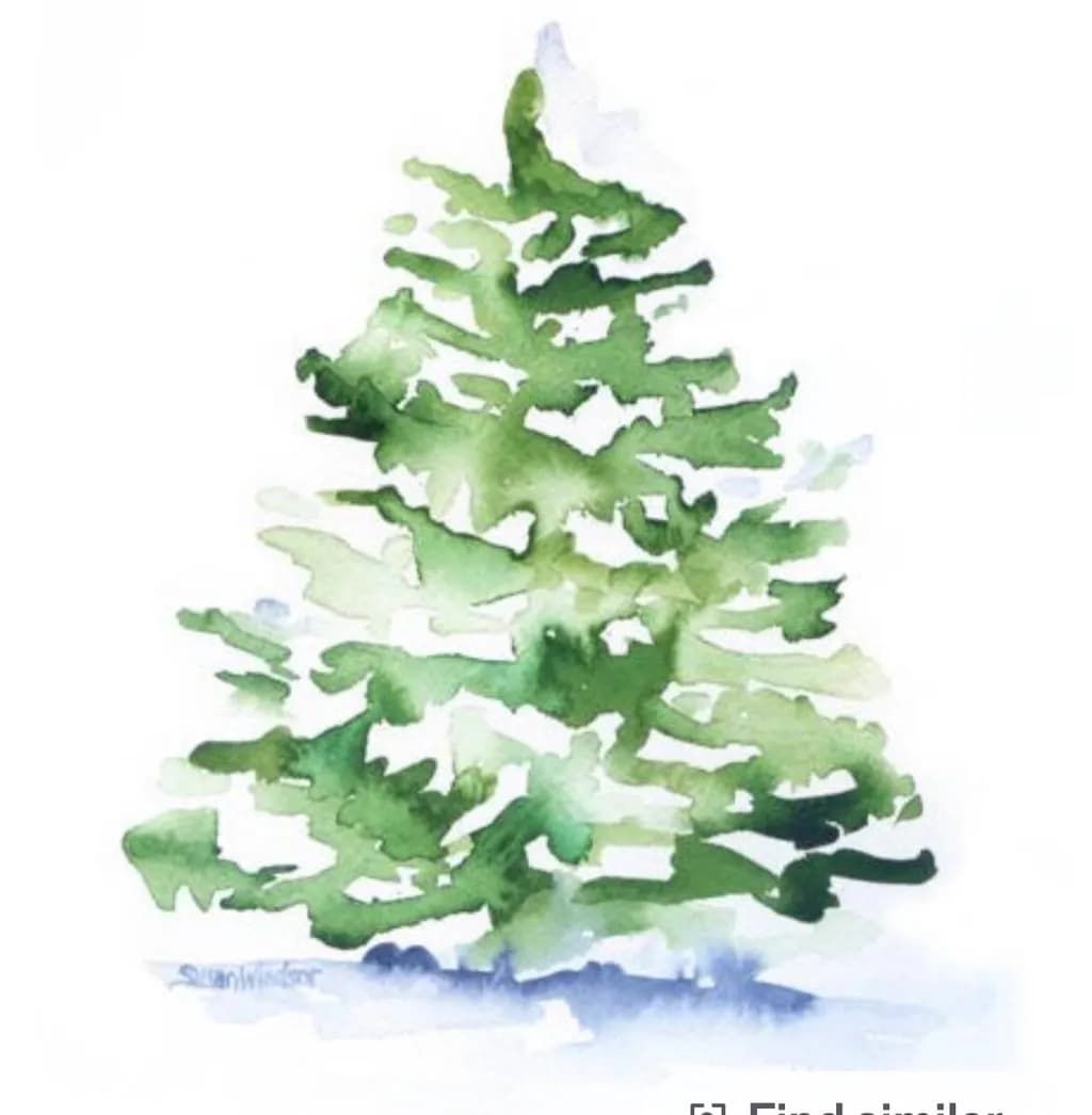 Evergreen Essence