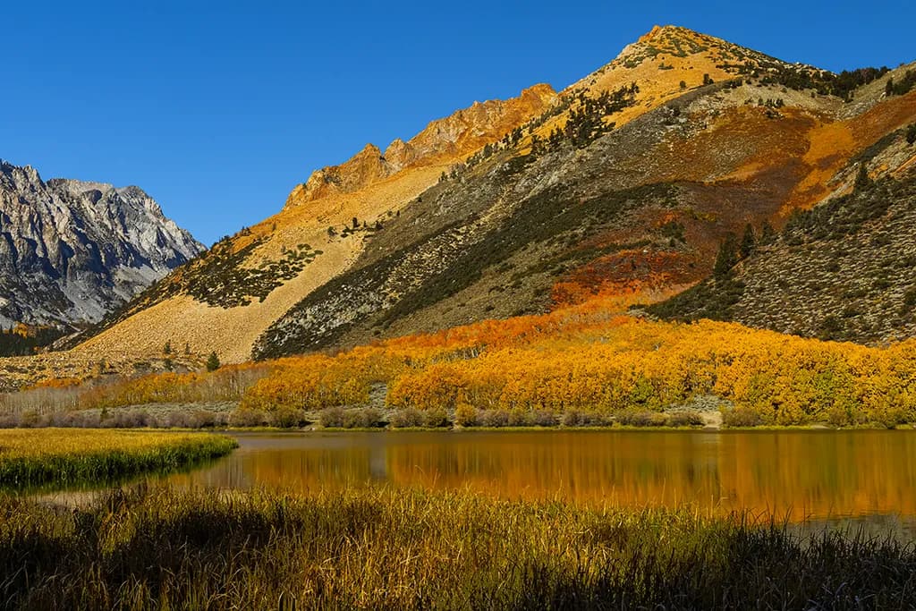 Mountain Lake Reflections