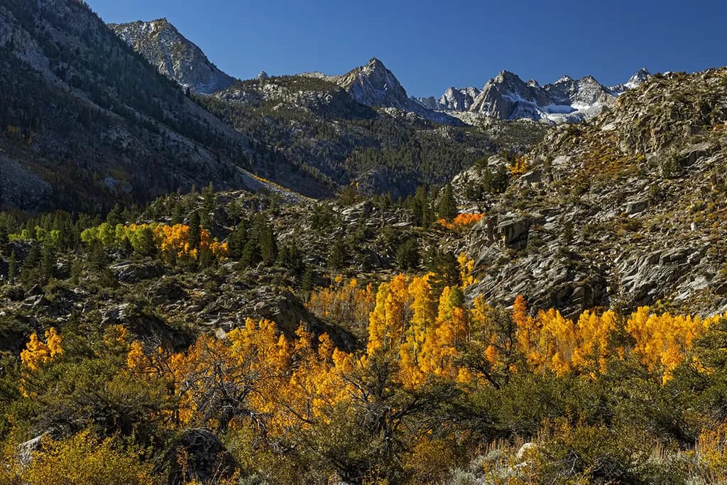 Nature's Fall Palette