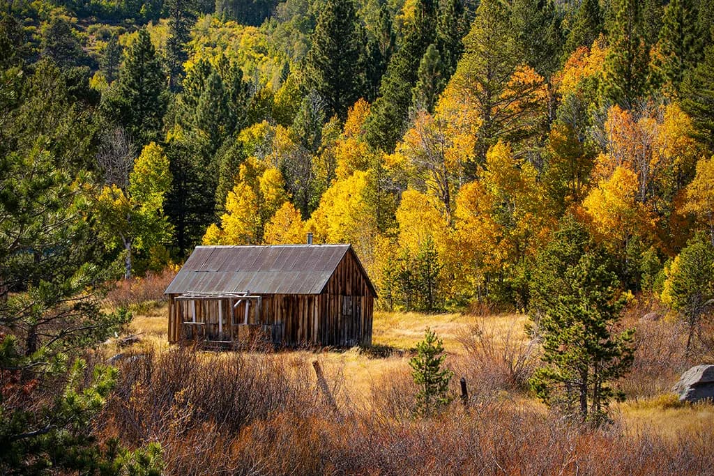 Autumn Cabin