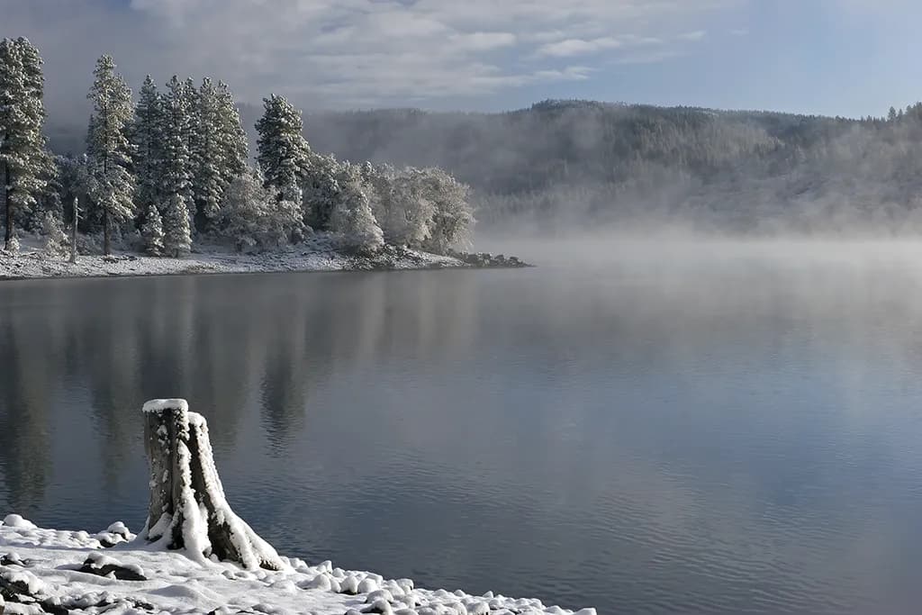 Nature's Cold Embrace