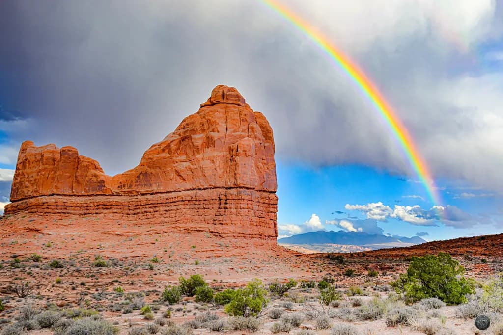 Desert Rainbow Majesty
