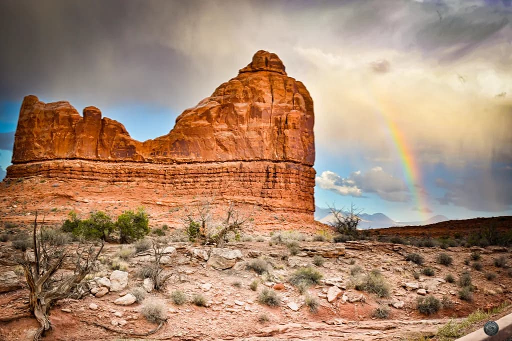 Desert Rainbow