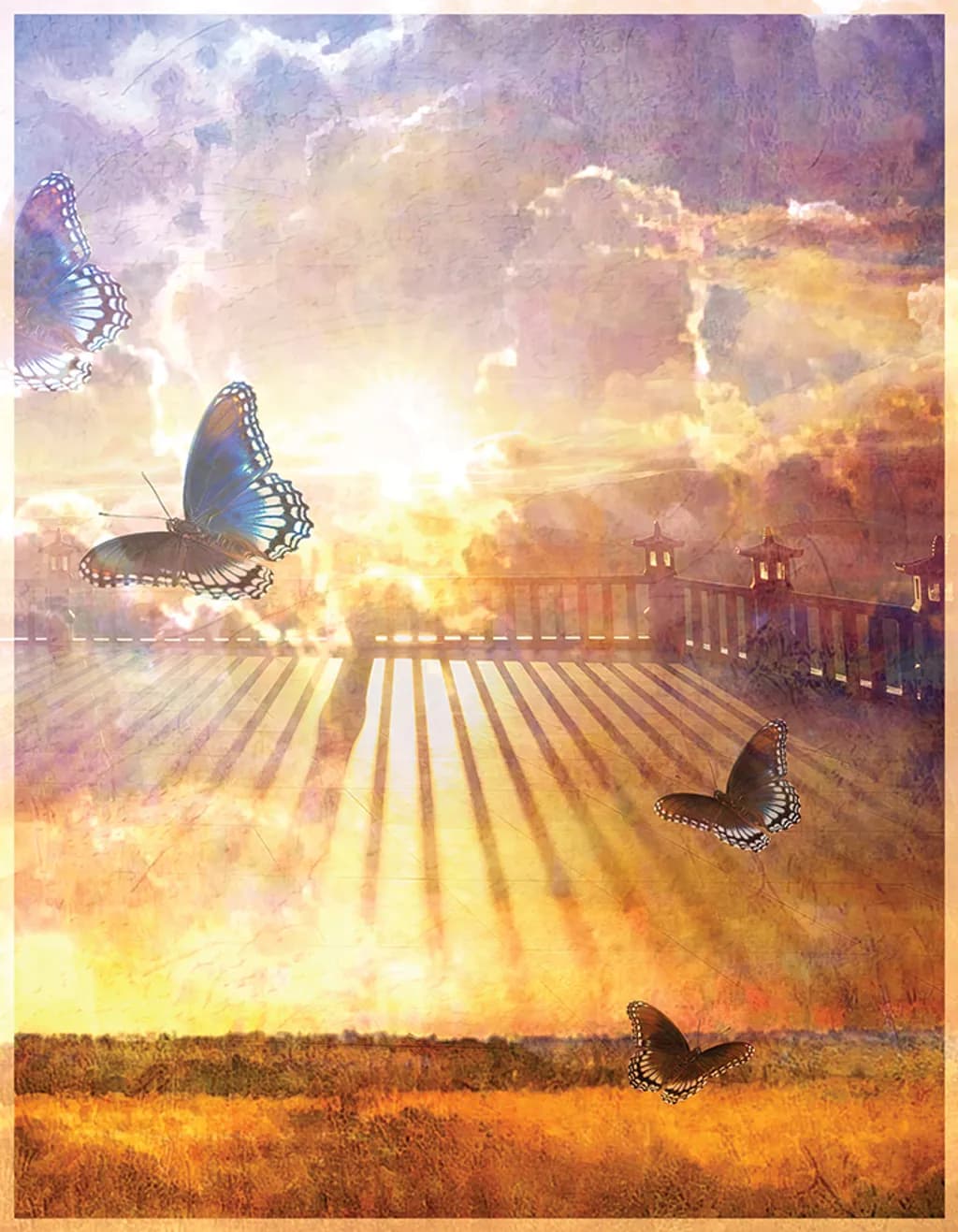 Illustrated Dreaming