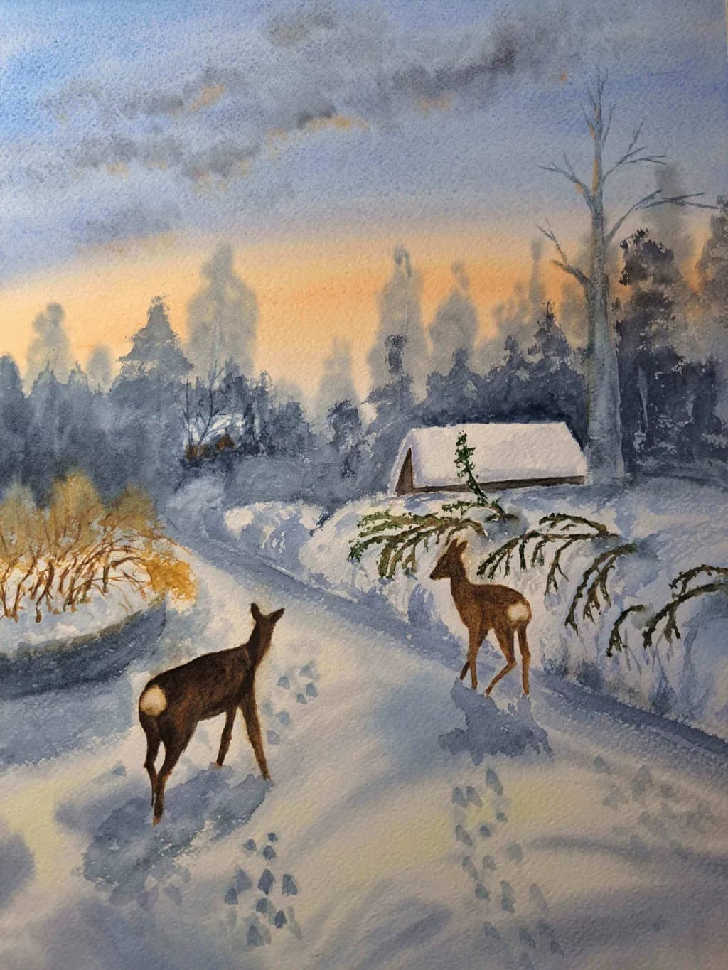 Winter Stroll
